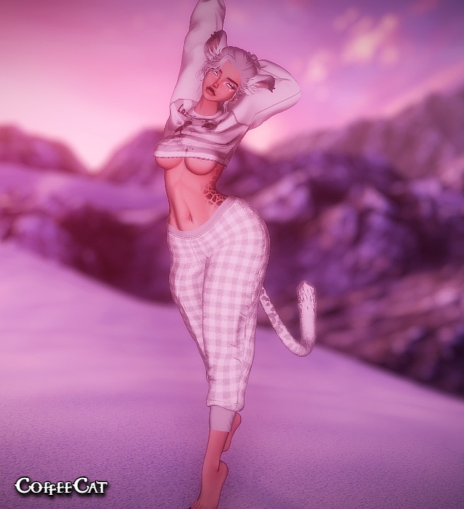 ₊˚。⋆❆⋆。˚₊ Lumi The Snow Leopard ₊˚。⋆❆⋆。˚₊