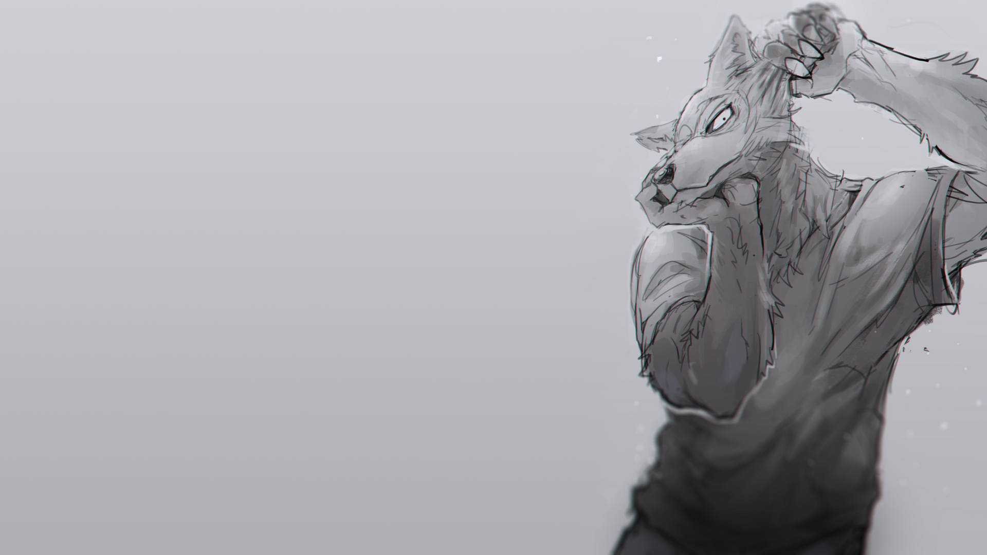 Banner Background