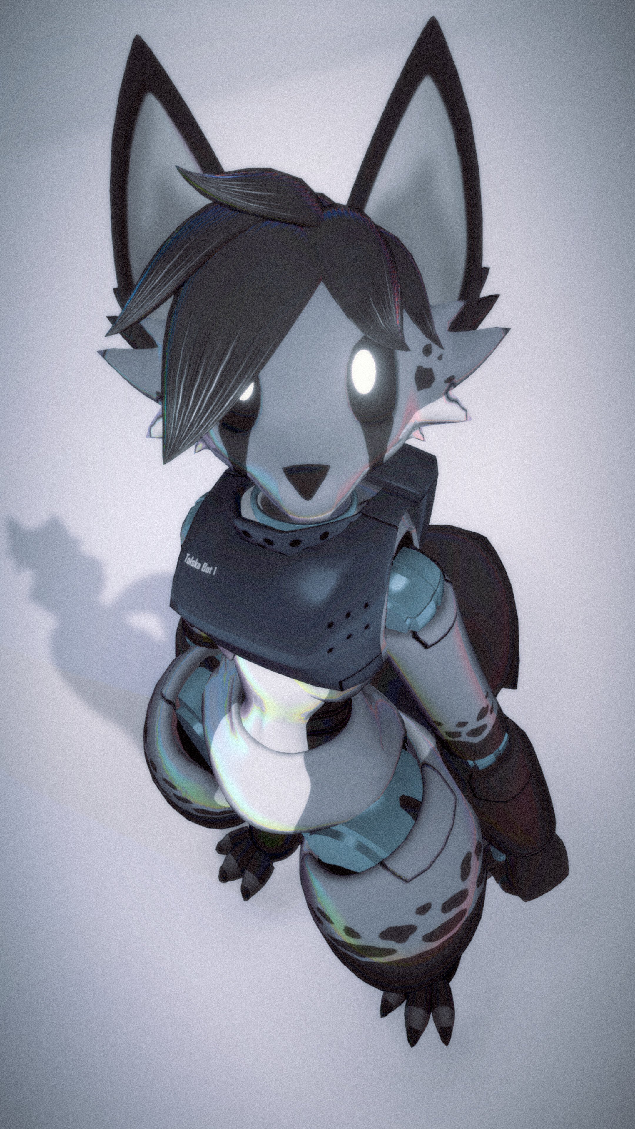 Tolska Bot
