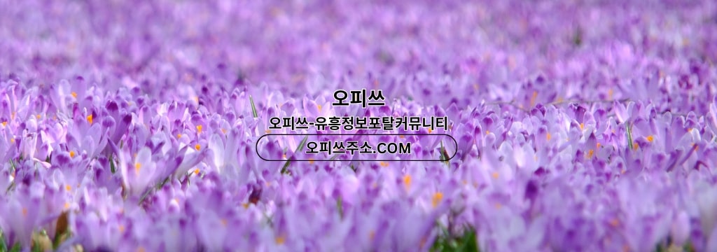 배너 배경