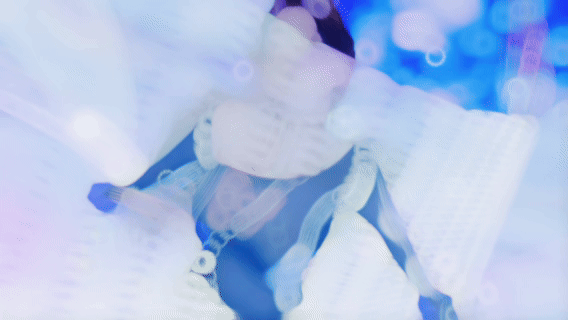 Aoi ෆ Pc + Quest ෆ Genderfluid ෆ FT