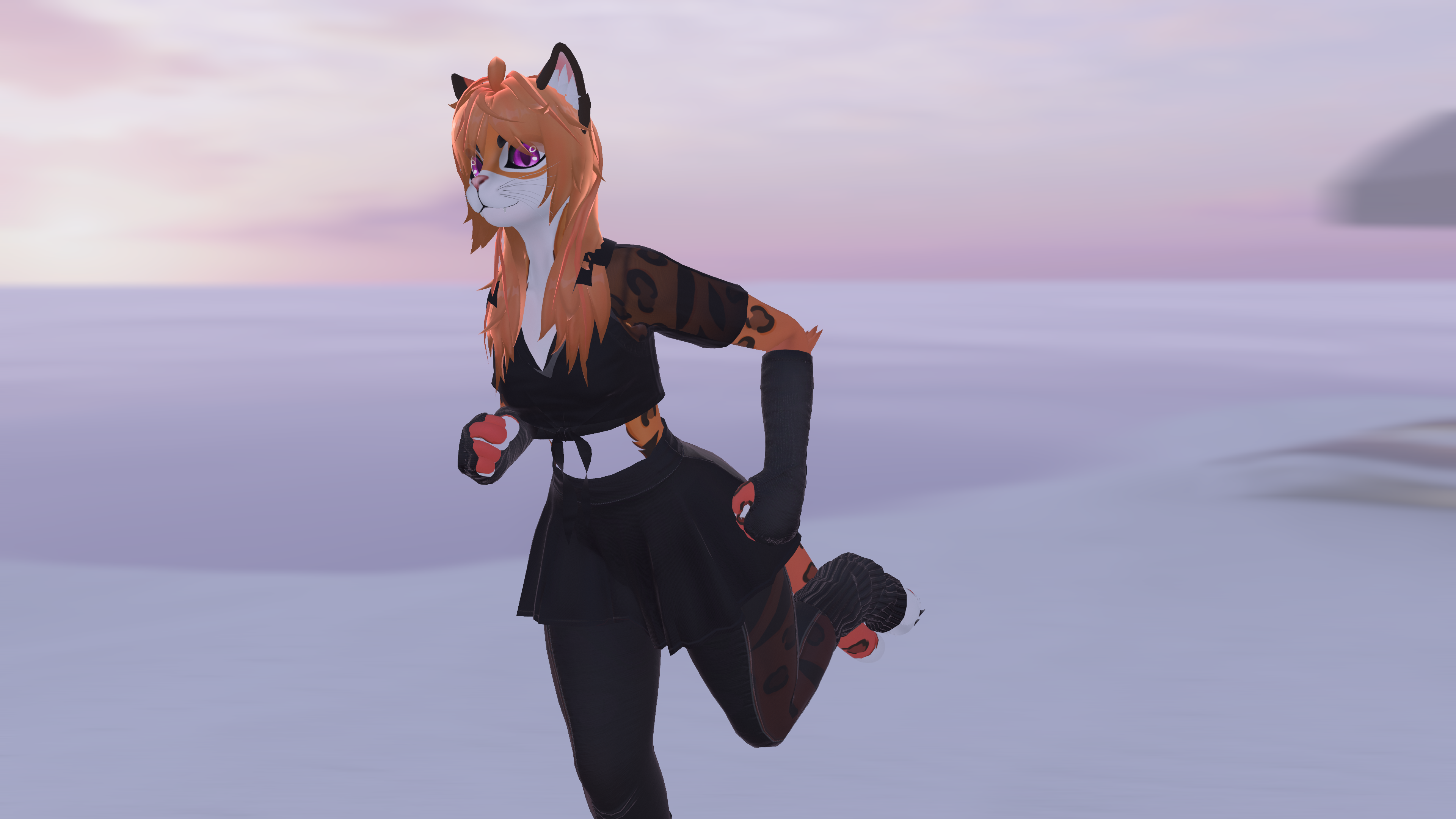 Sport Outfit For Micio