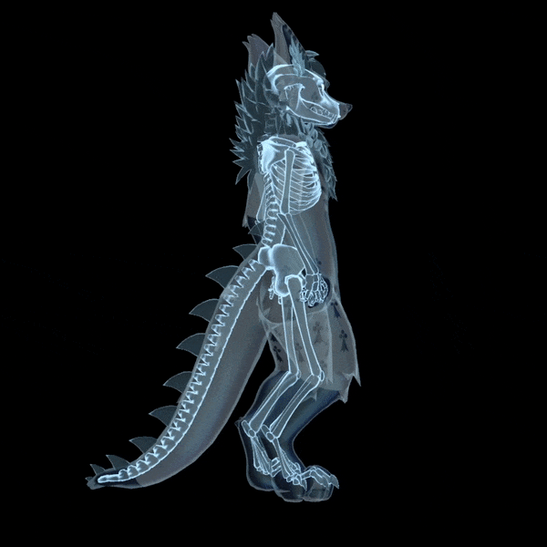 Skeleton for Freakhound