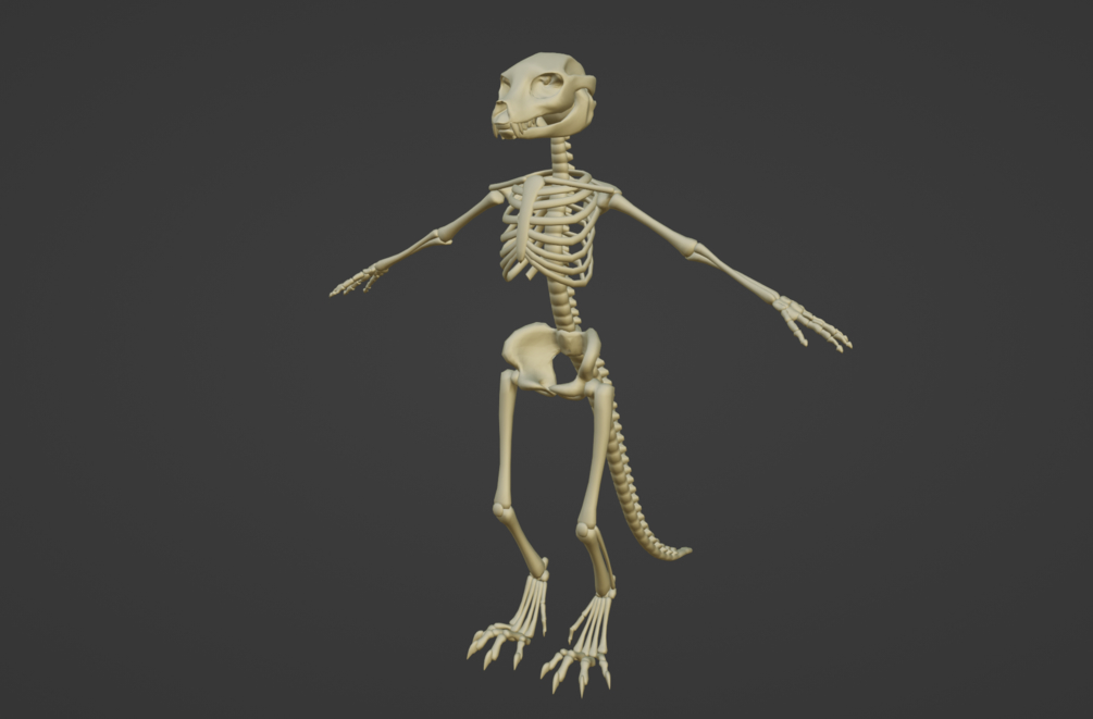 Skeleton for Freakhound