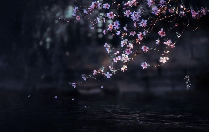 Banner Background