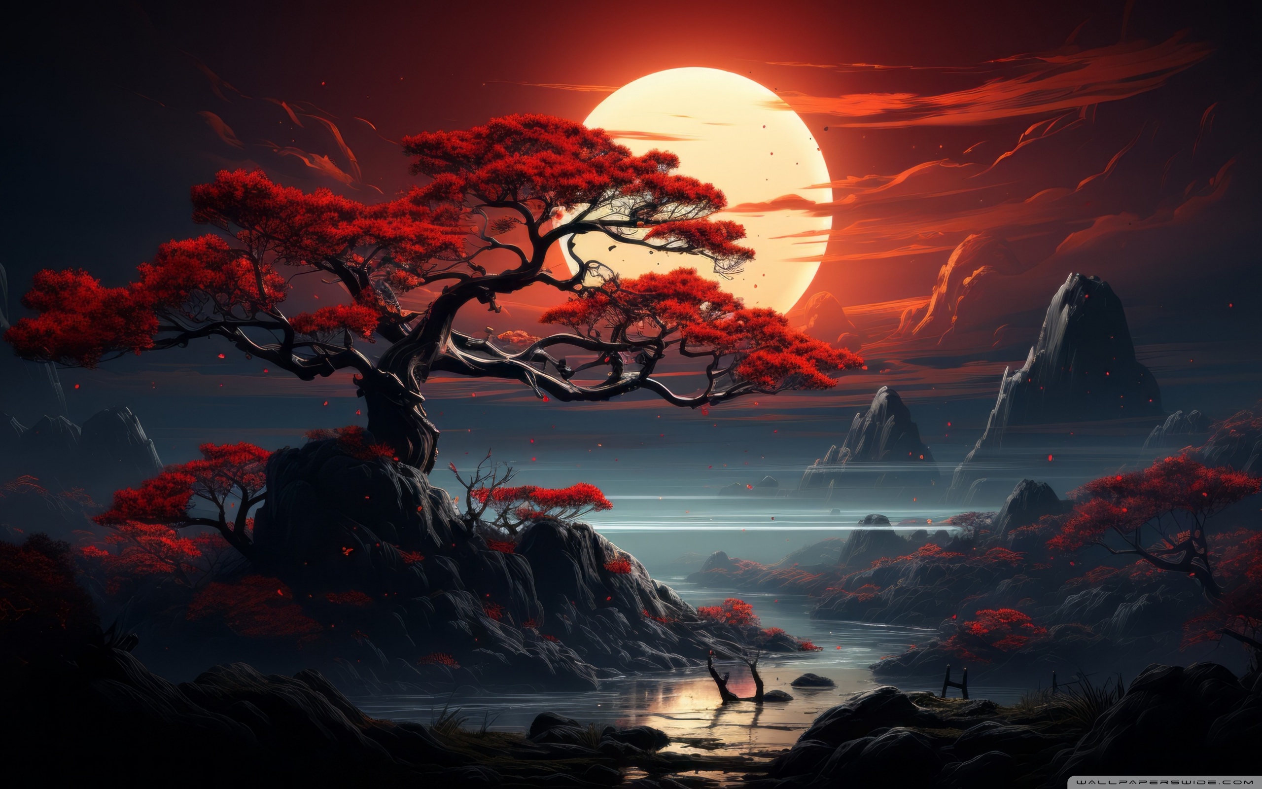 Banner Background