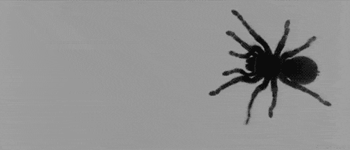 Banner-Hintergrund