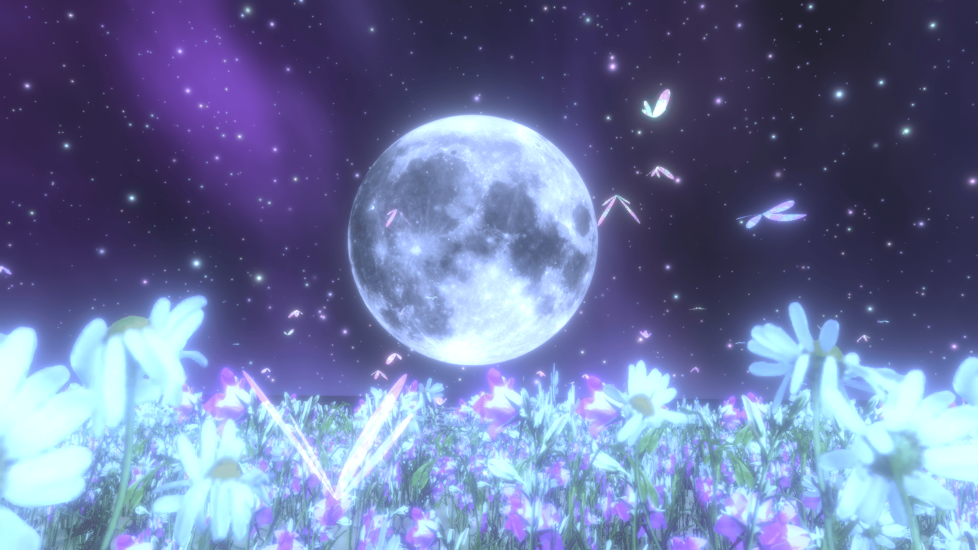 Banner Background