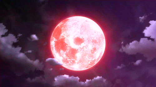Banner Background