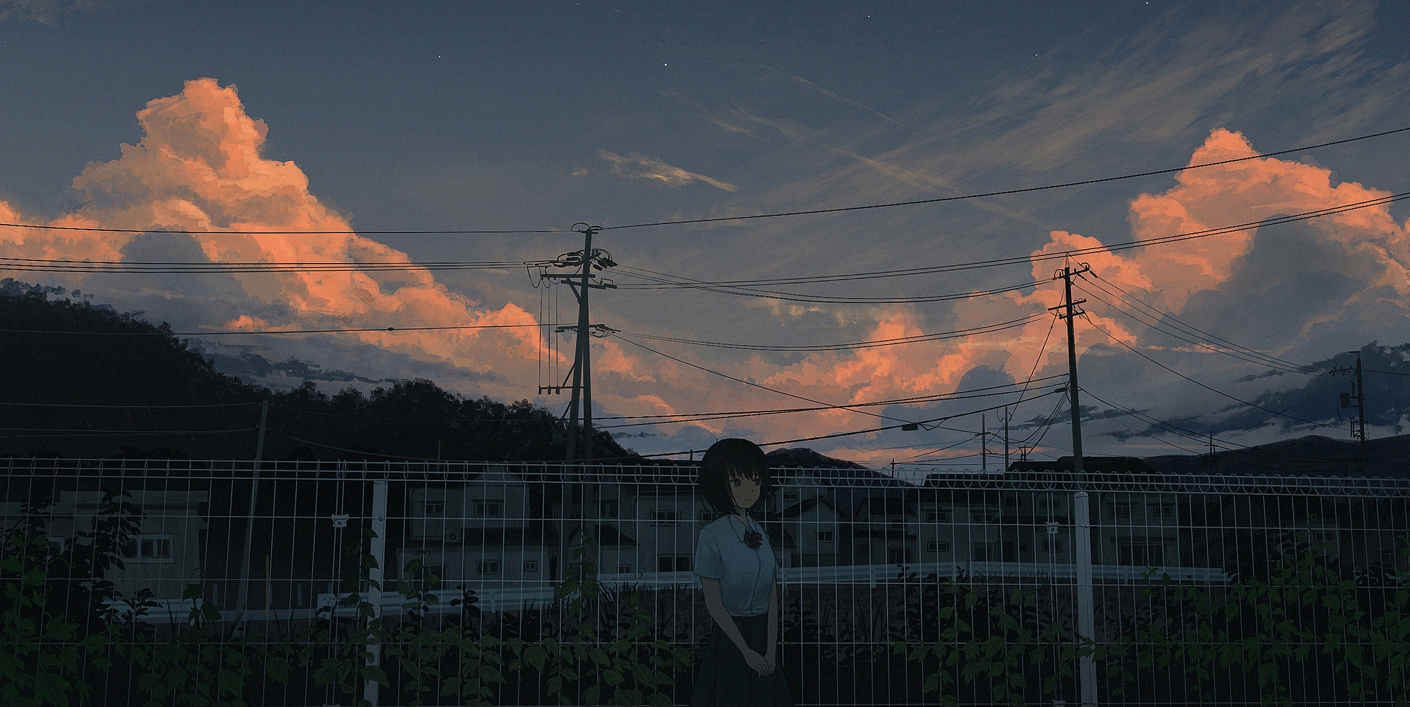 Banner Background