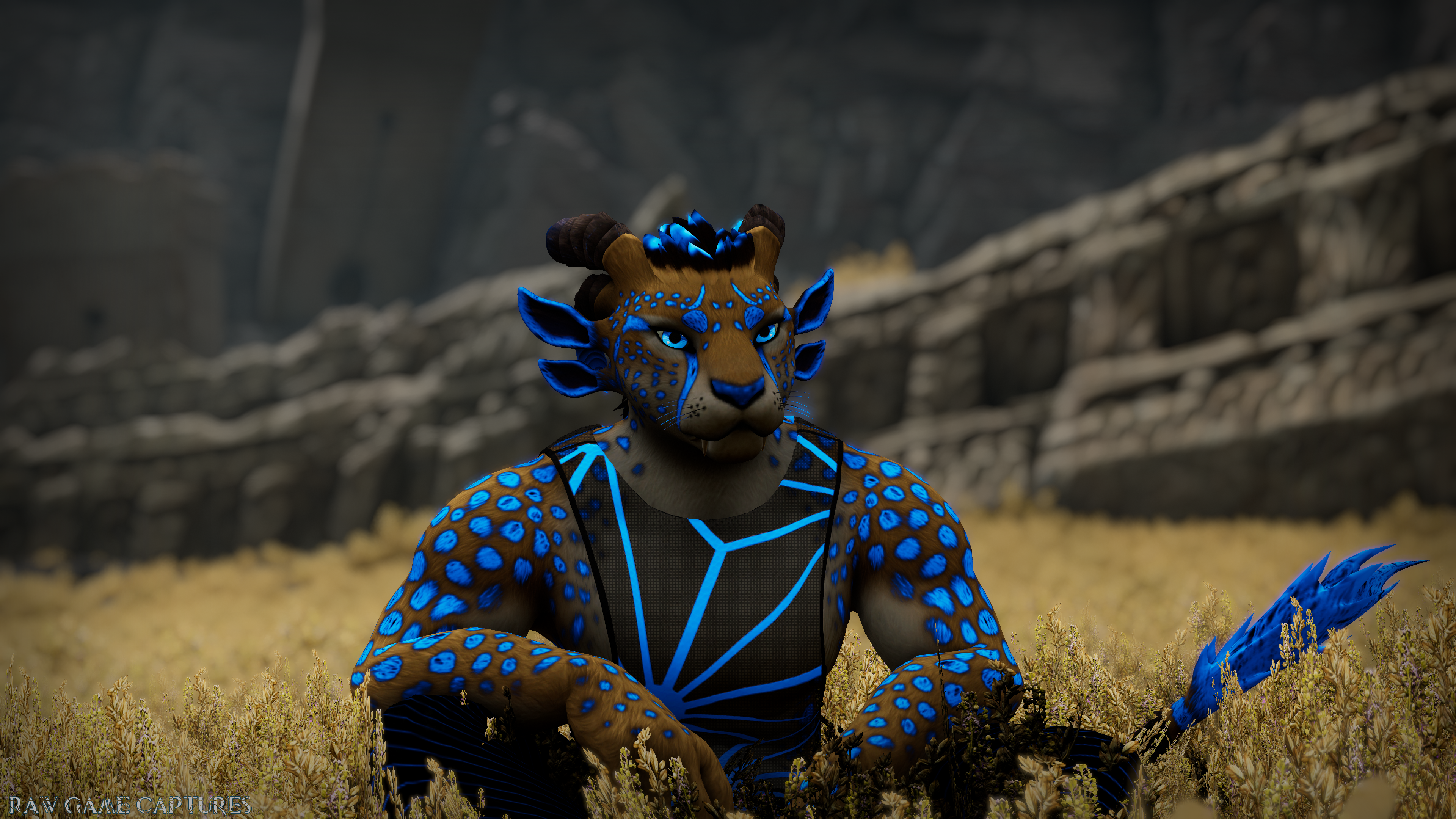 Zuhrr The Catman - VRChat Avatar - (Male)