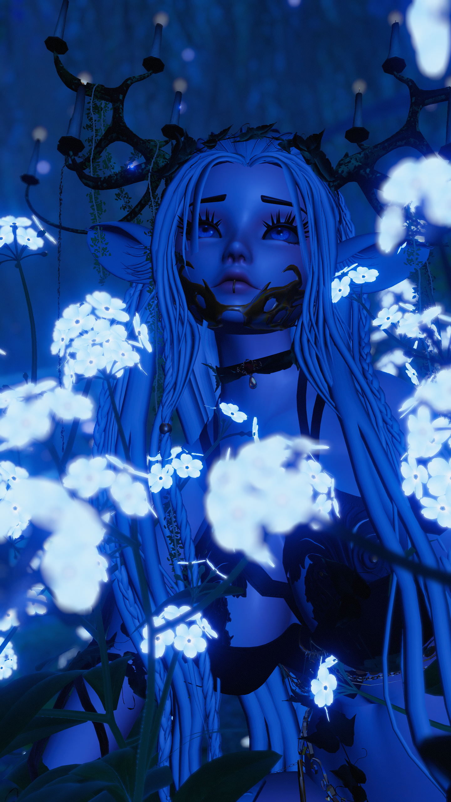 Morwen of the Fae Wilds