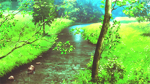 Banner Background