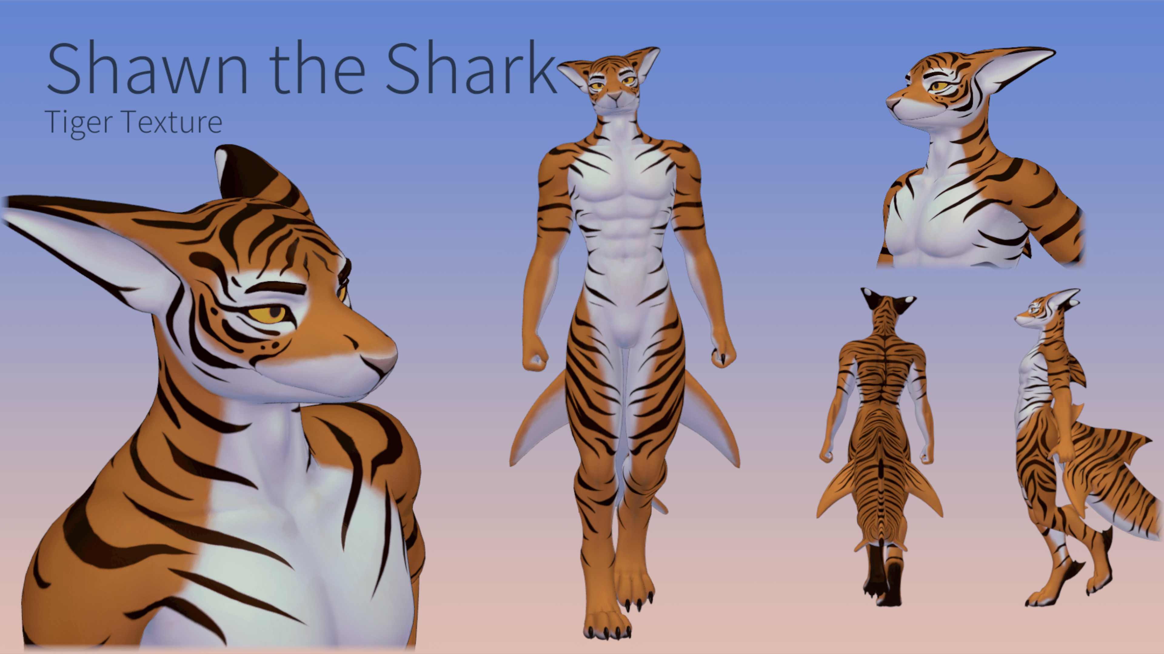 Tiger Texture for Shawn the Shark