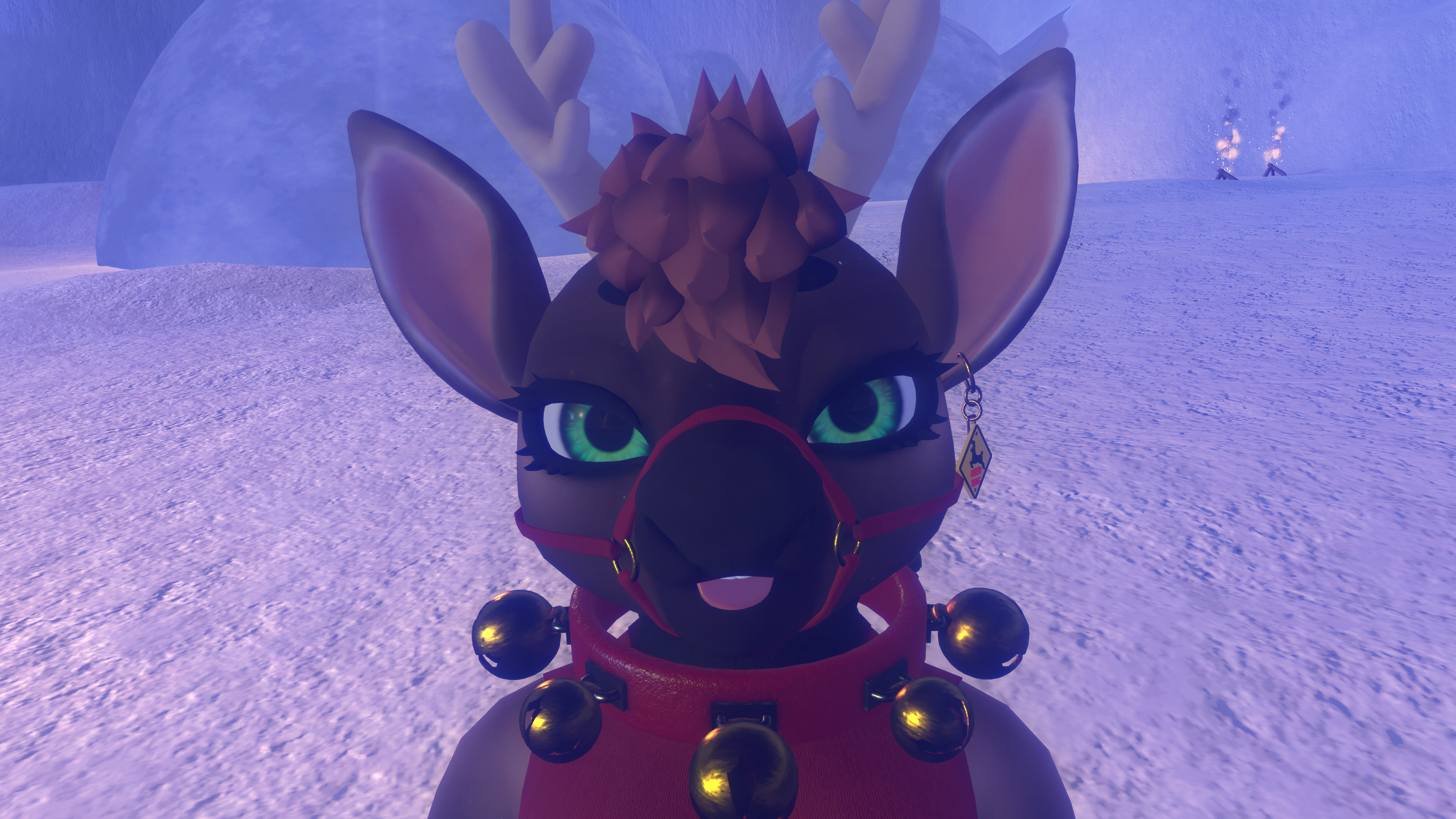 Reindeer