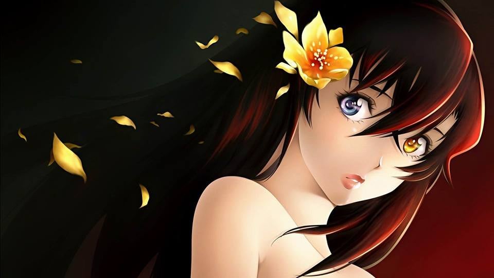 Banner Background
