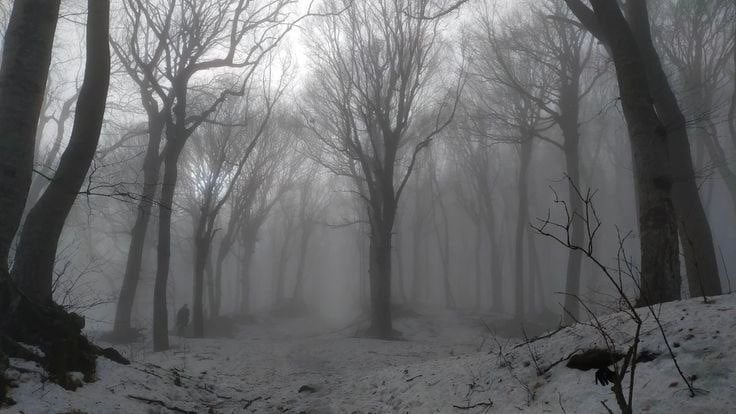 Banner Background