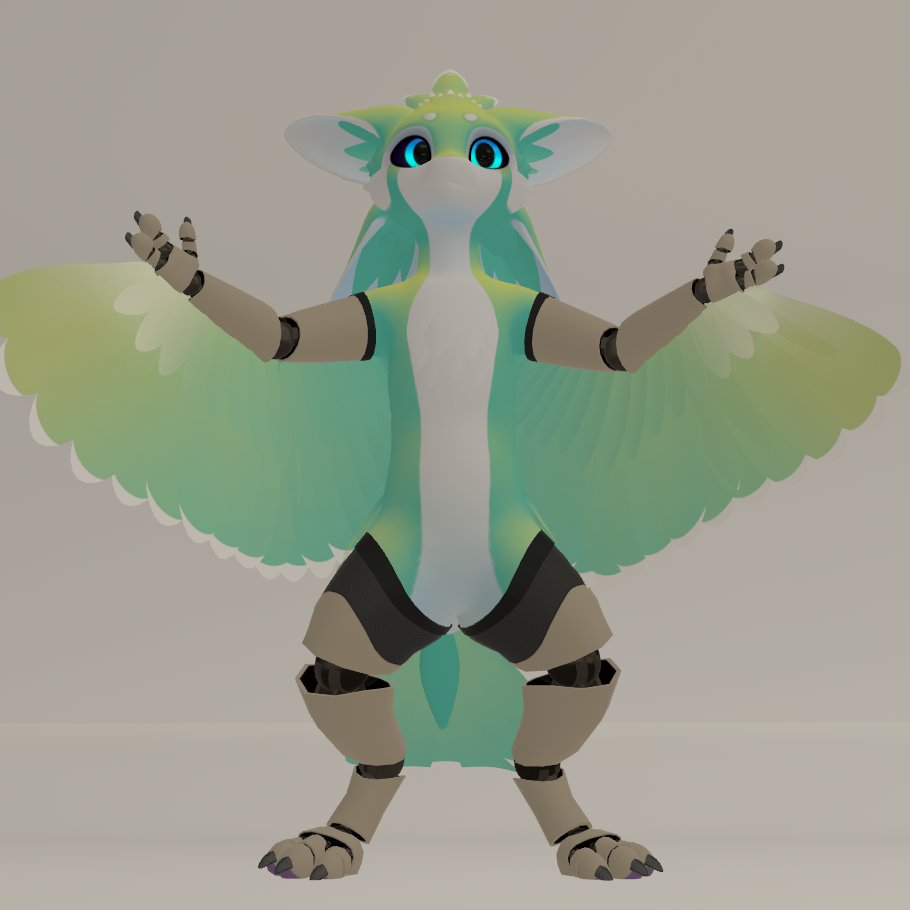 Spiri'vali Prosthetic Limbs