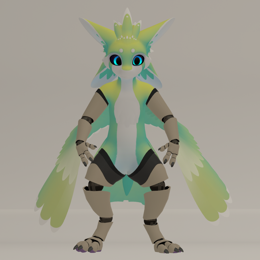 Spiri'vali Prosthetic Limbs