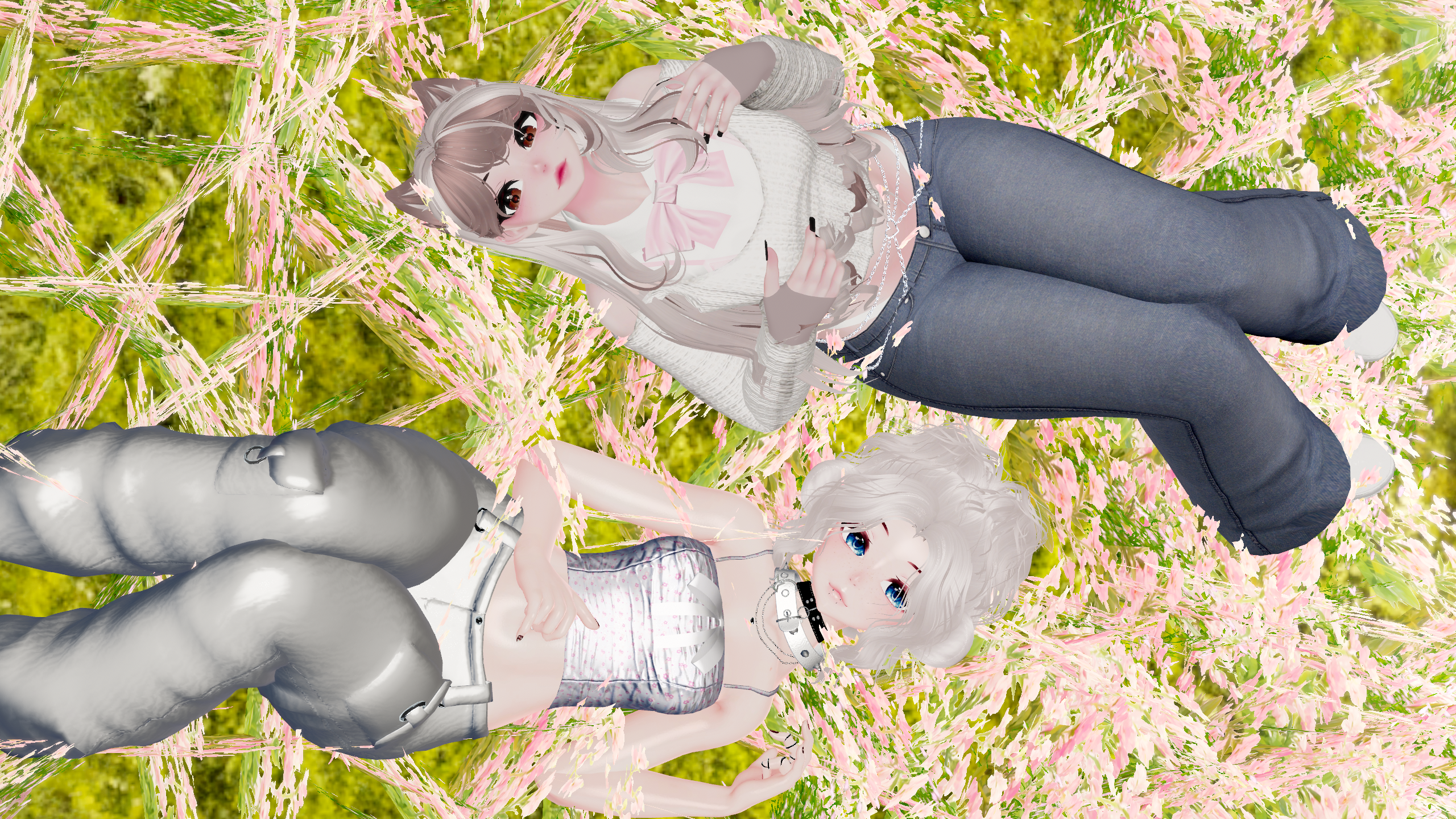 Toffee Pc+Quest+FT+Gogoloco