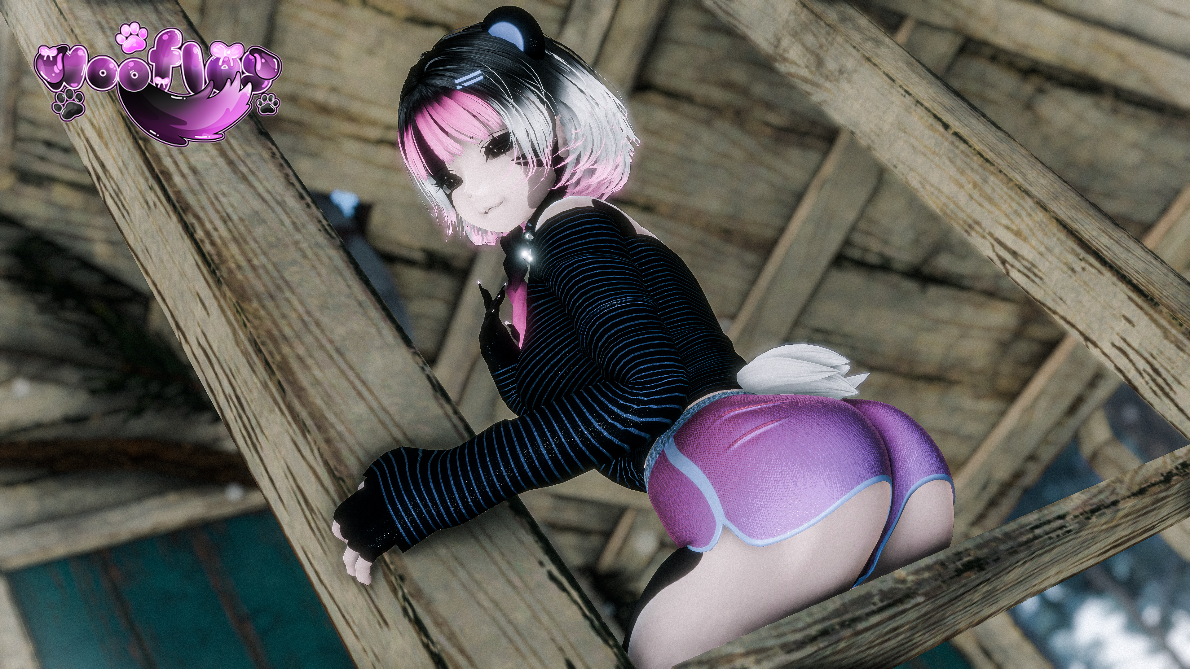 Pao the Panda Pc+Quest+FT+Gogoloco