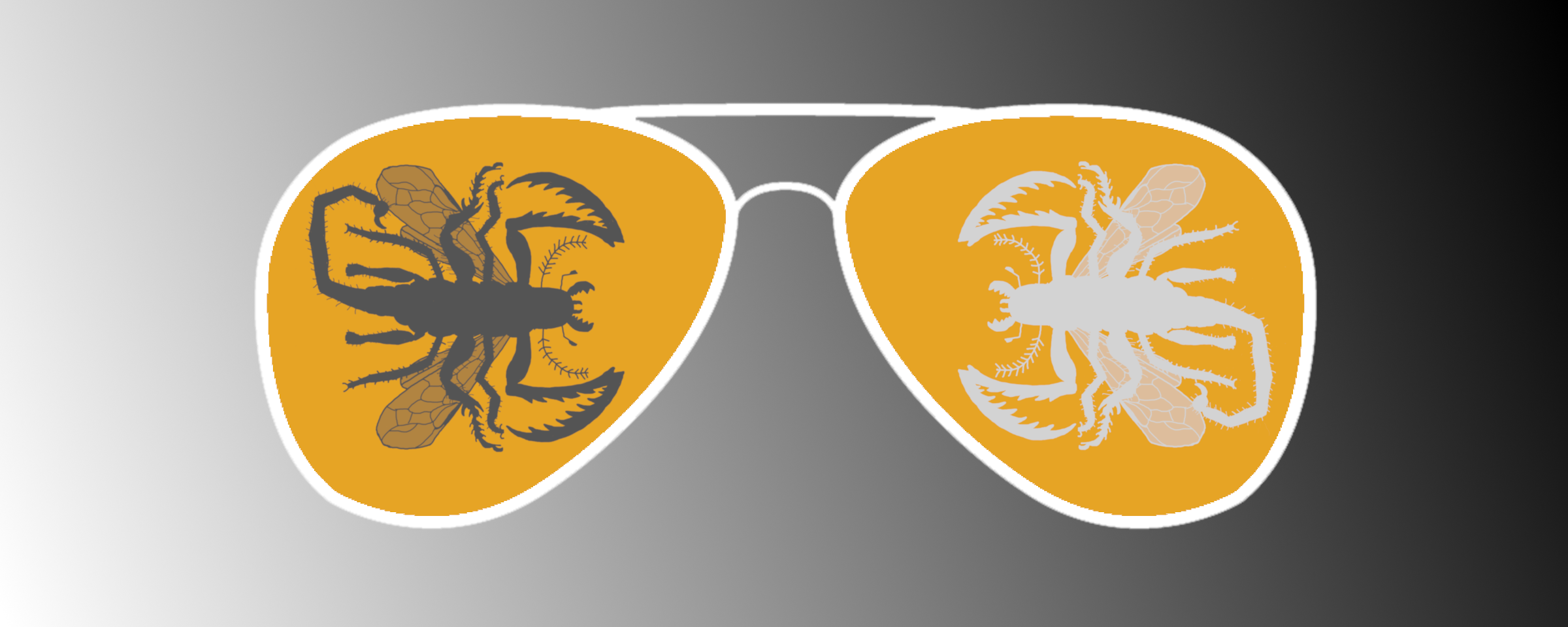 Banner Background