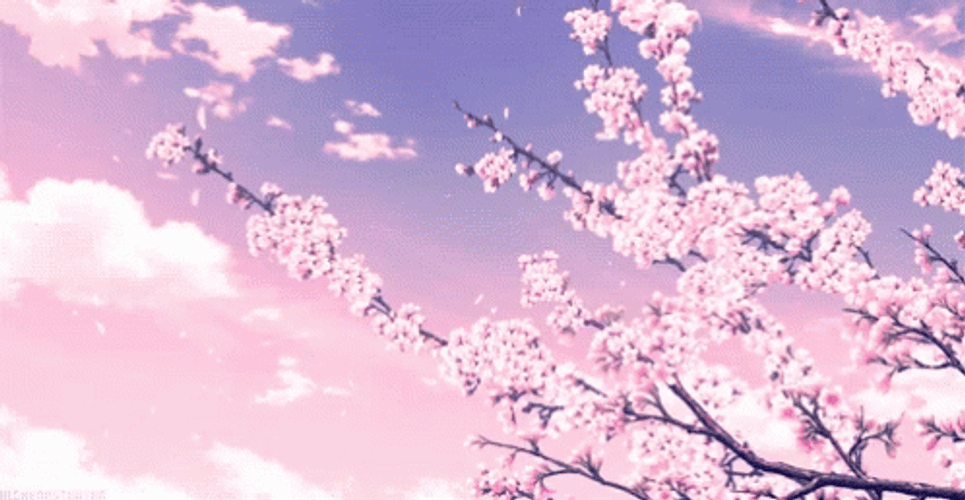 Banner Background