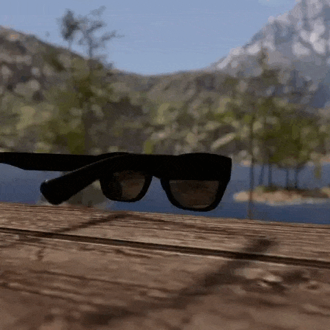 Foresight Smart Glasses
