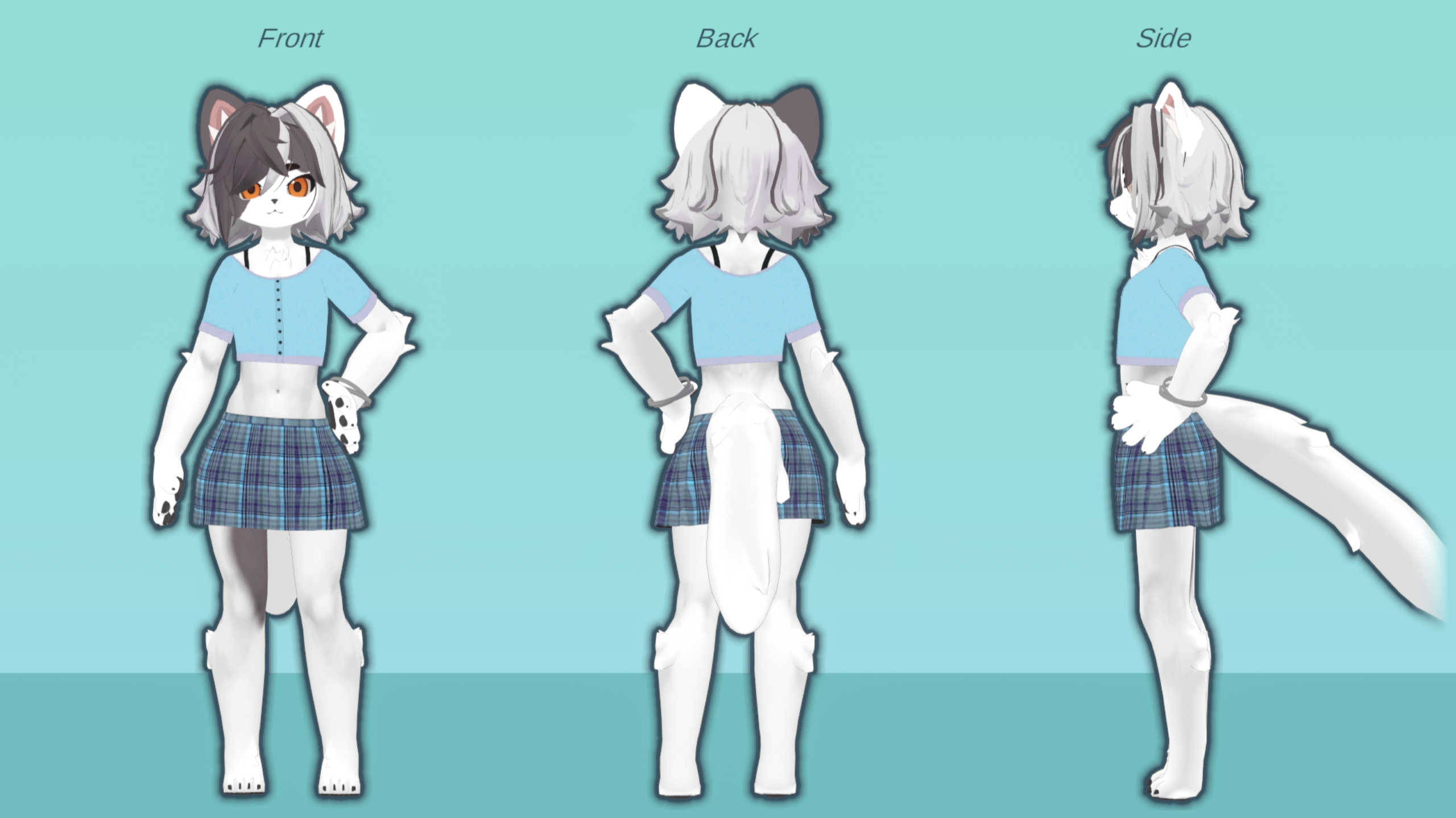 Kitten Summerfit
