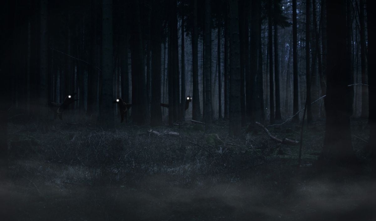 Banner Background