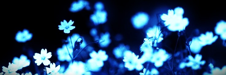 Banner Background