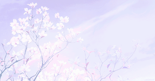 Banner Background