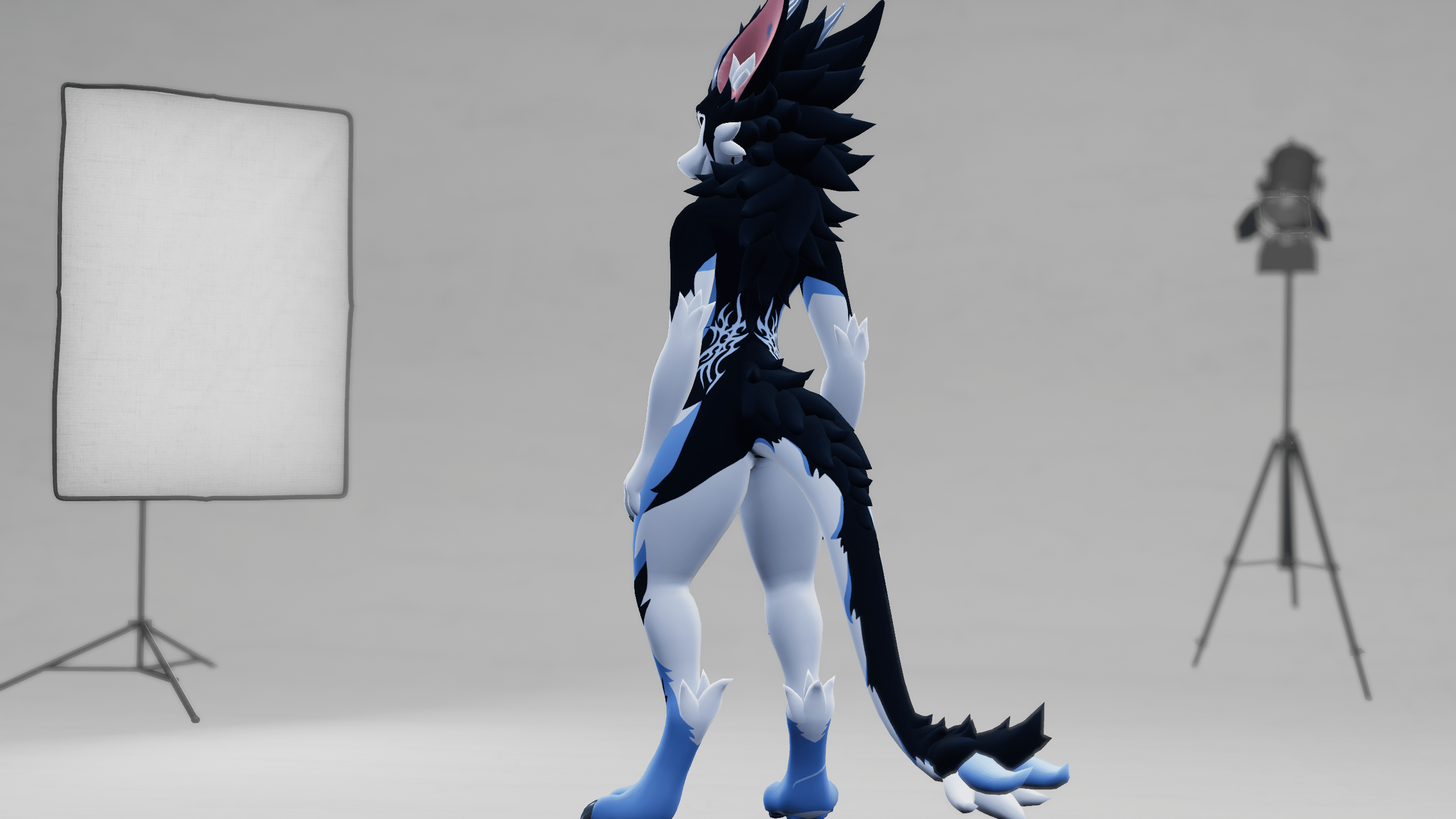 Triby Nardoragon Texture