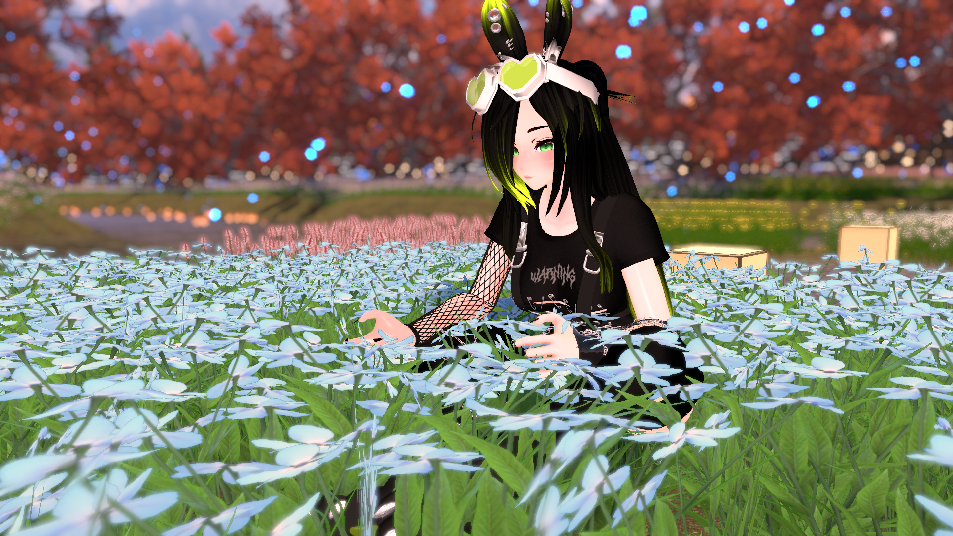 Bunn Bunn (PC)