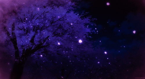 Banner Background