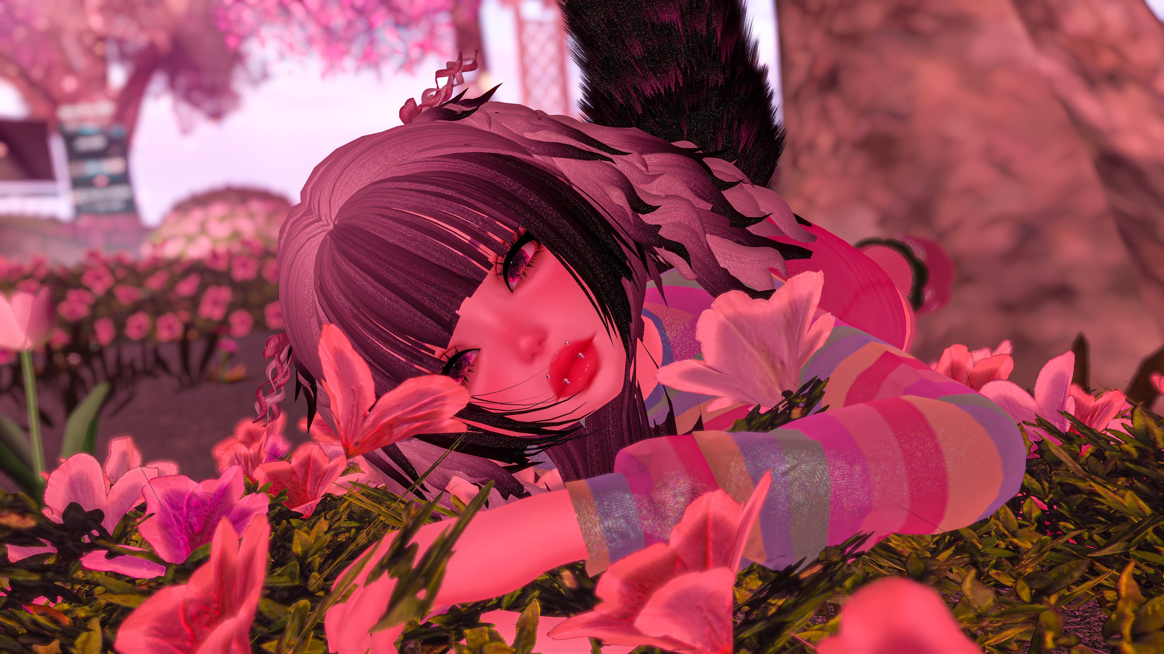 Zaina - server free