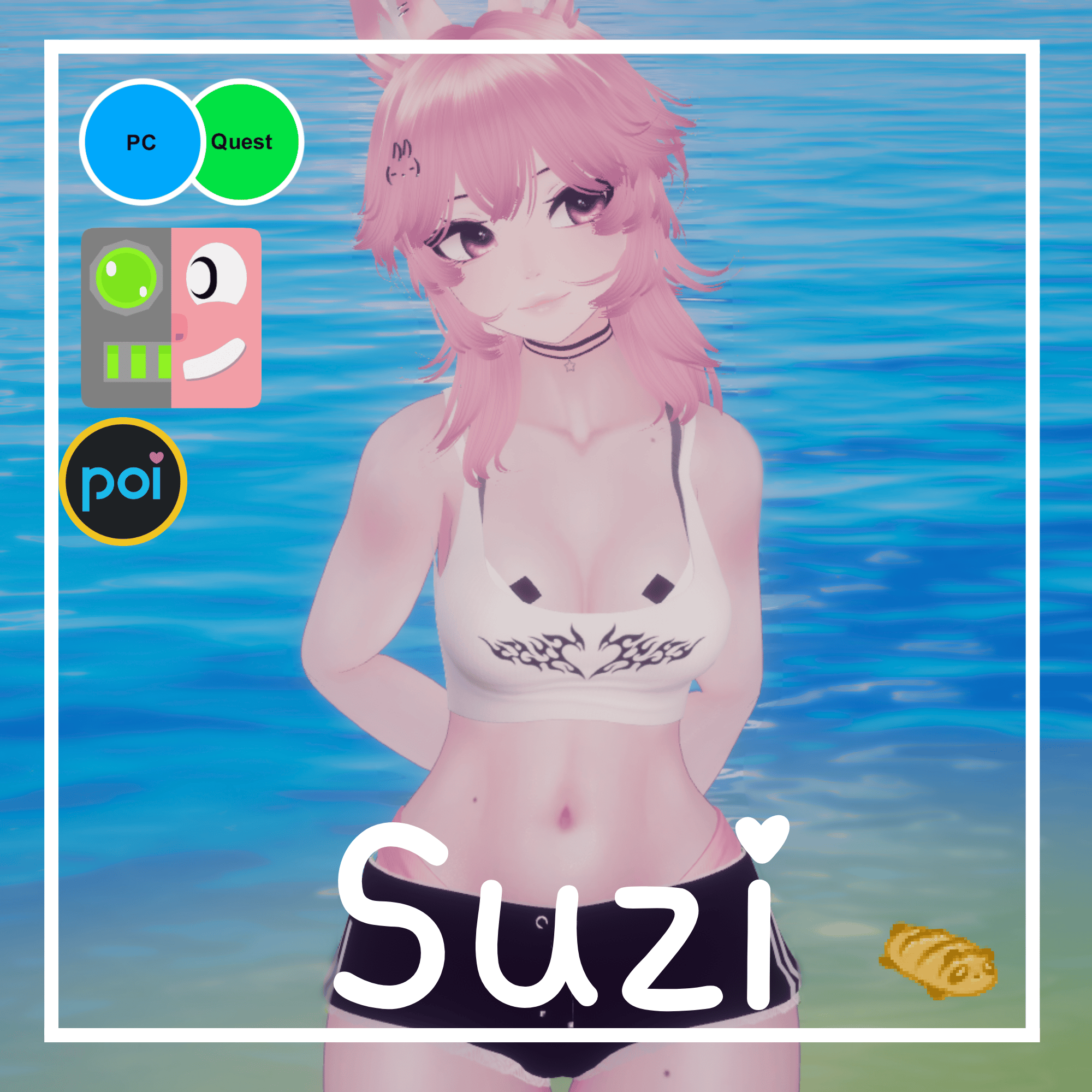 Suzi (PC+Quest+FT)
