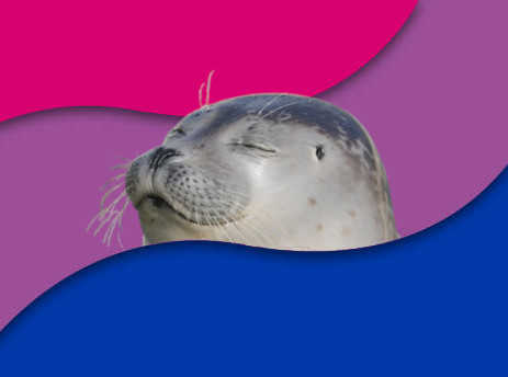 Banner Background