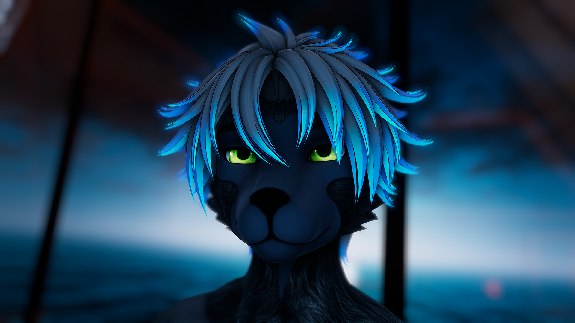 Silver Fox - Ryder