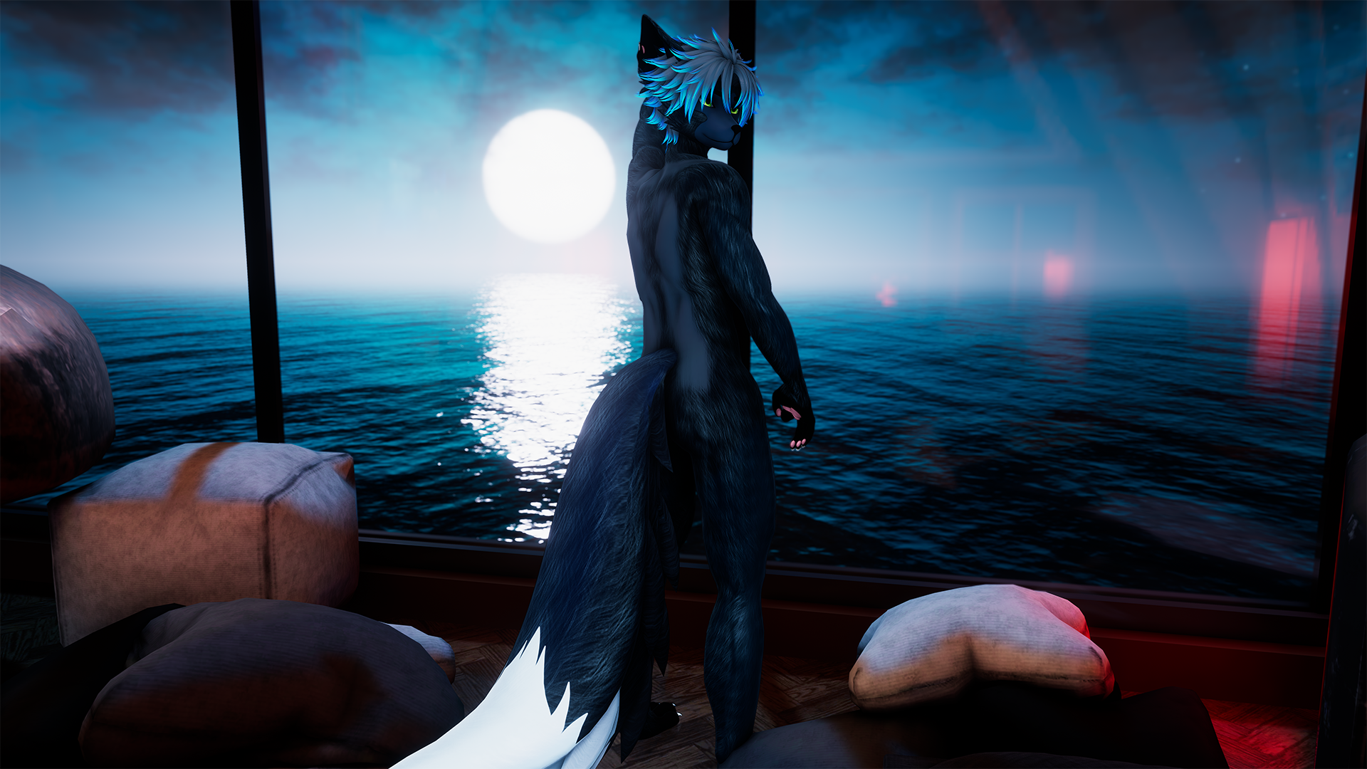 Silver Fox - Ryder
