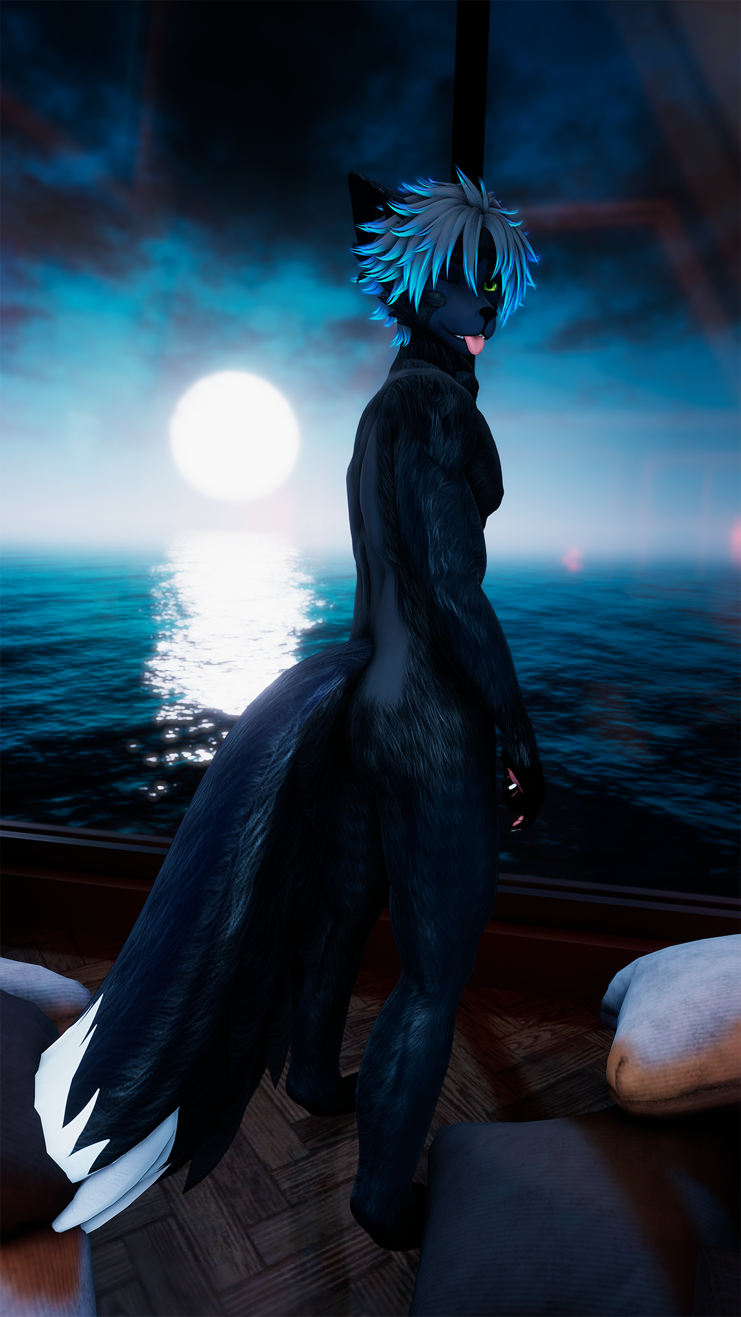 Silver Fox - Ryder
