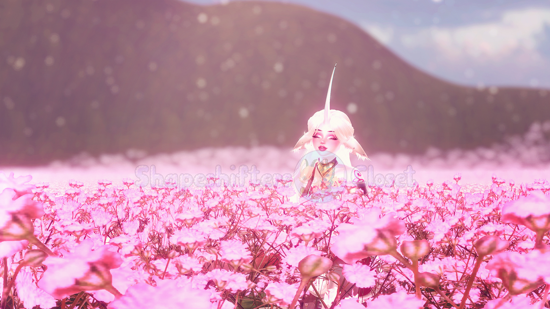 Banner Background