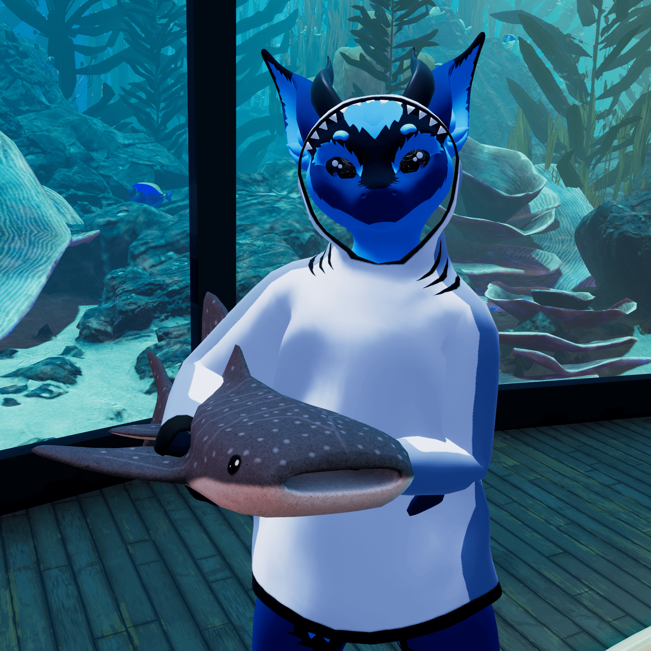 Shark Hoodie for Nardoragon
