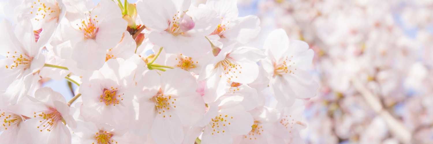 Banner Background