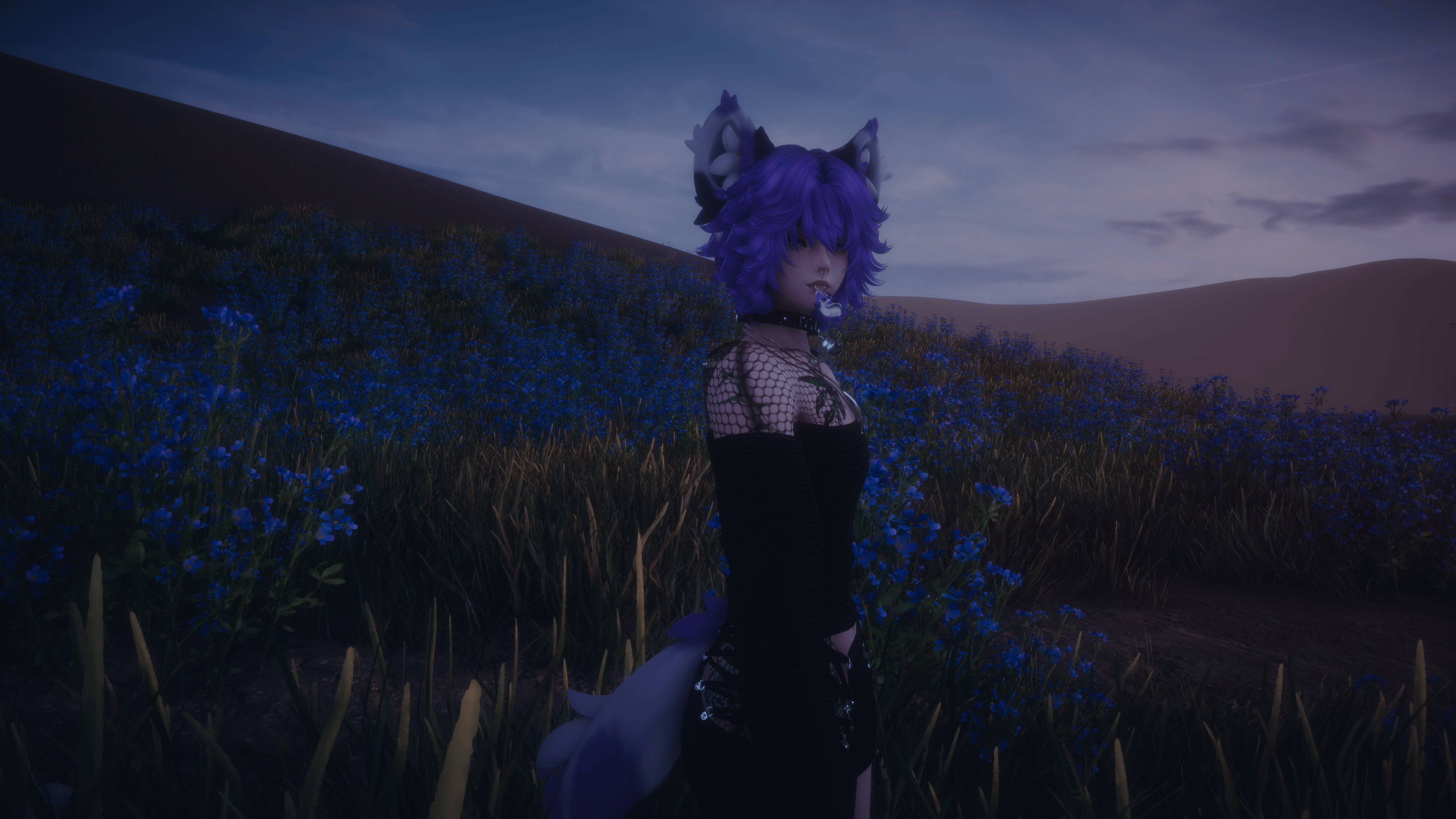 Cal the Cat | PC + QUEST