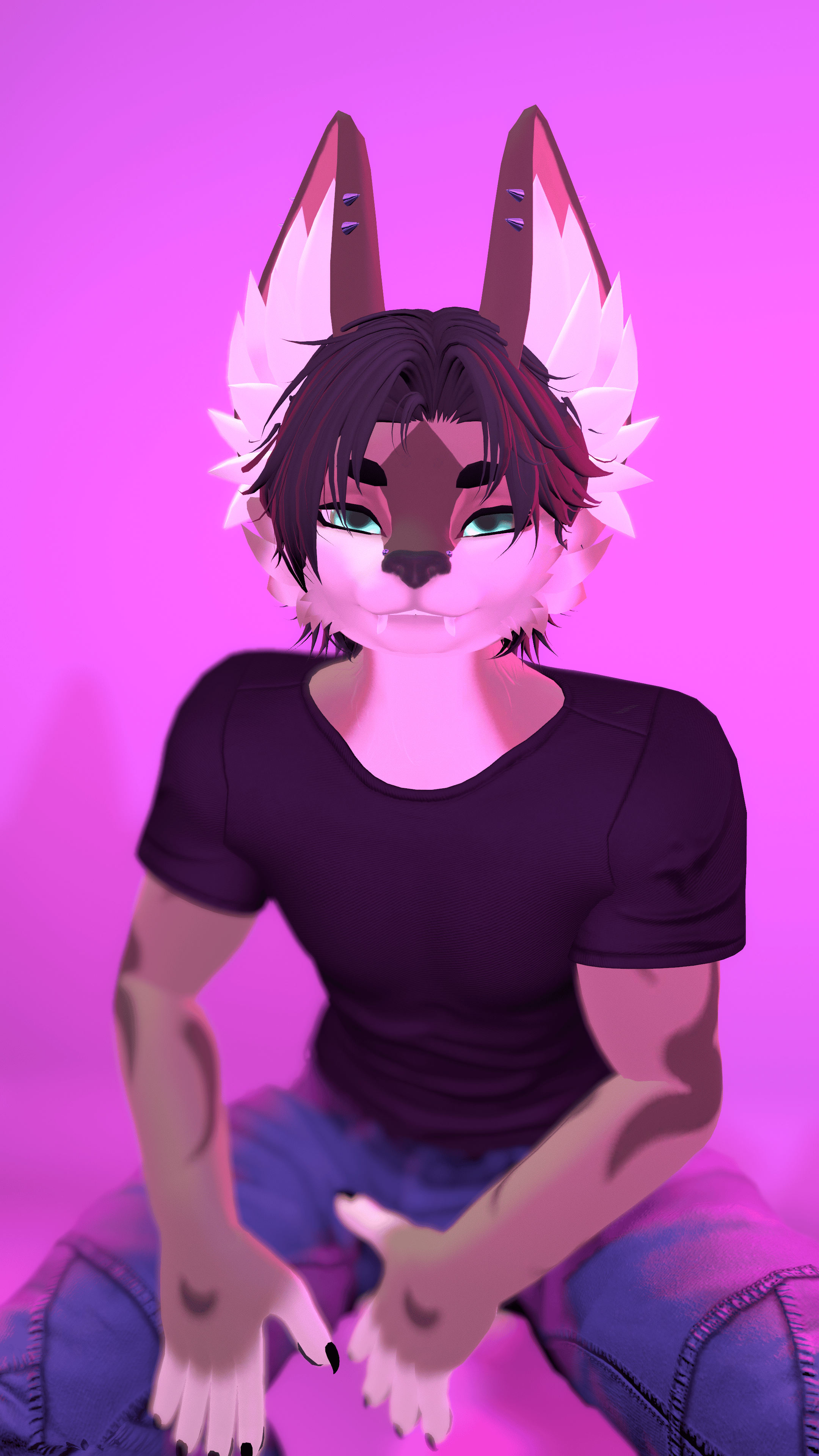 Post media 2