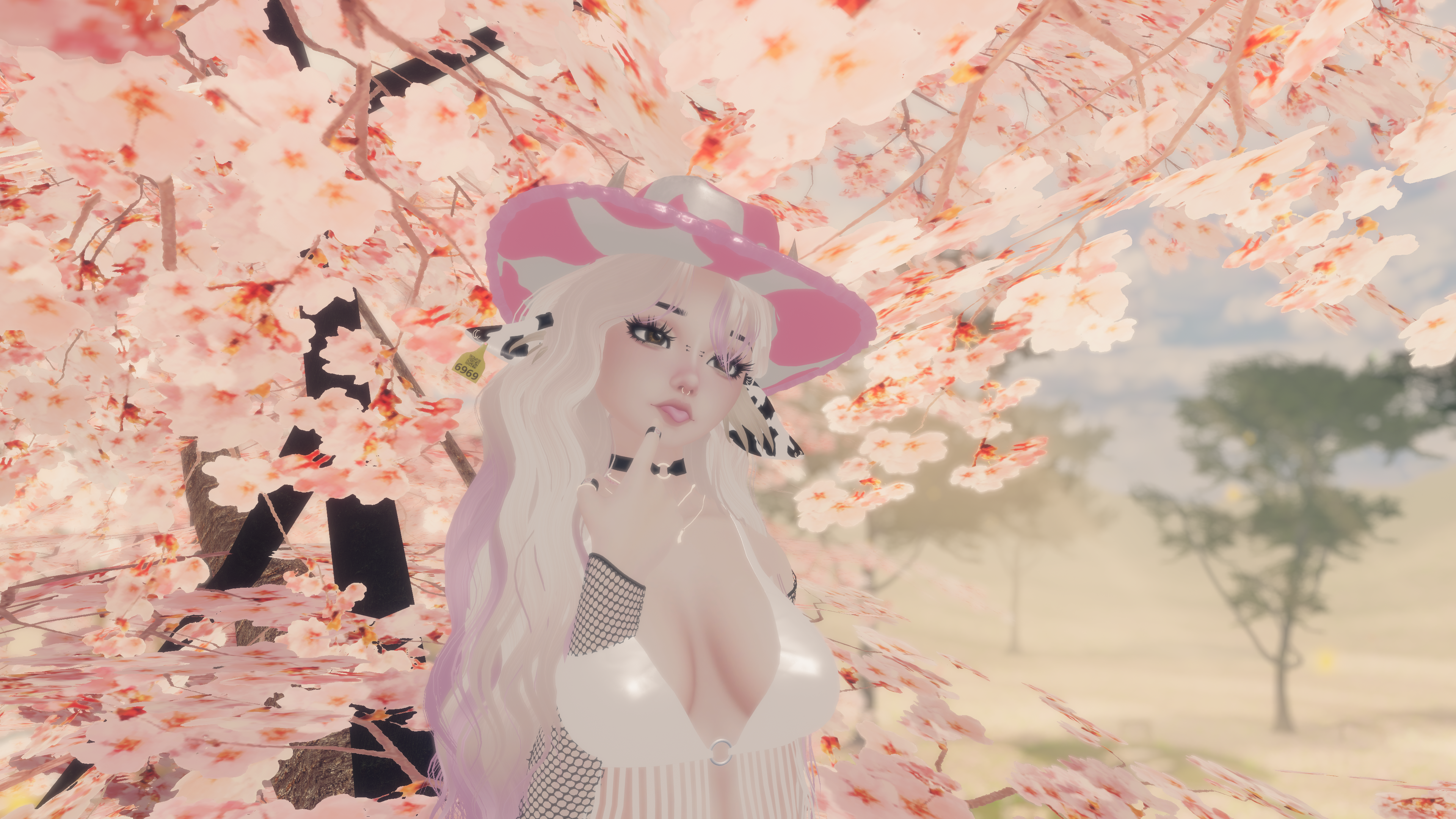 Banner Background