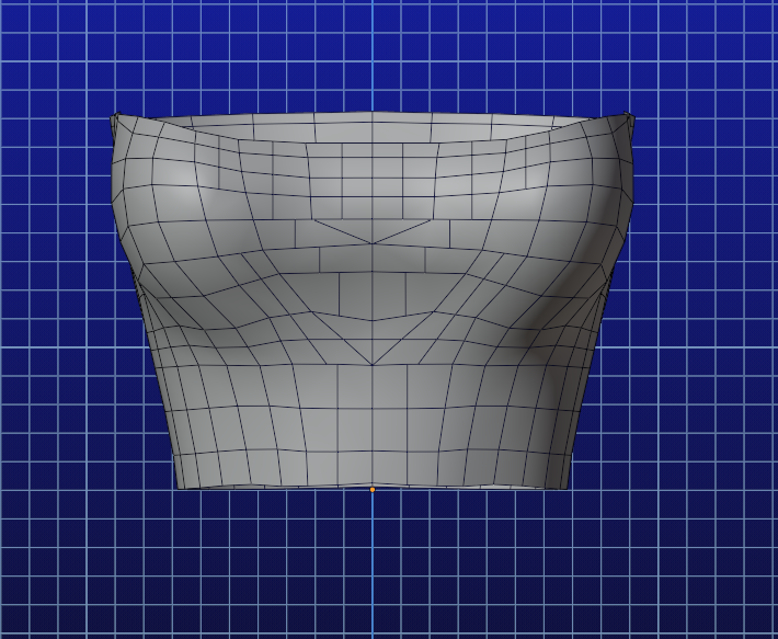 Corset/ Tube Top