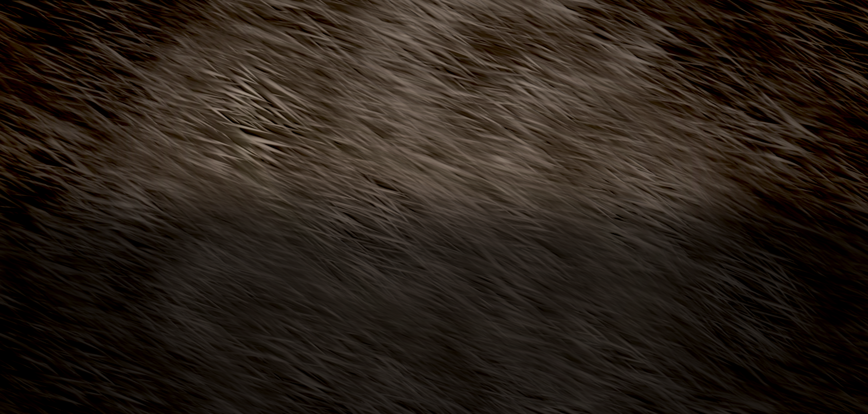 Banner Background