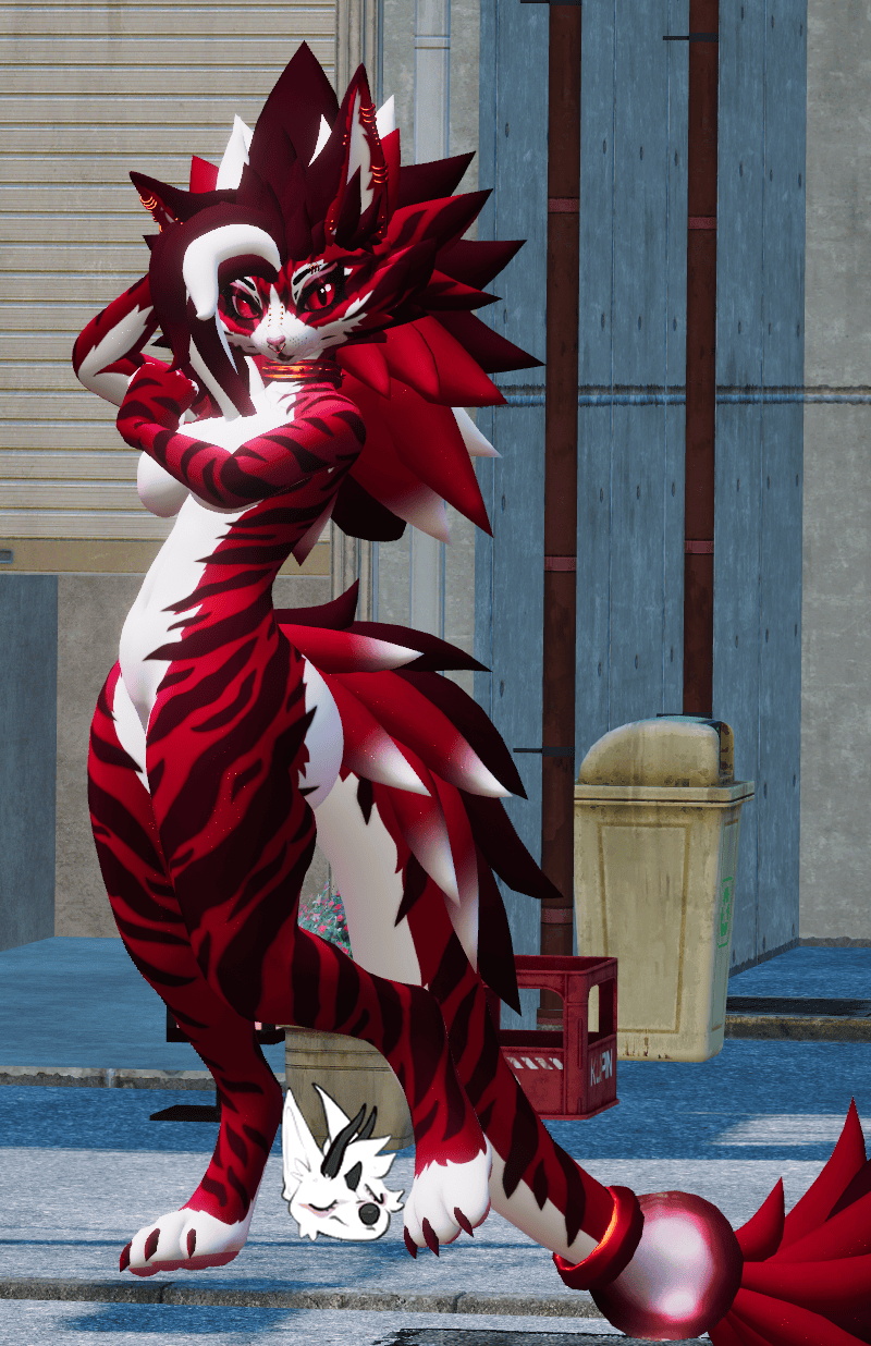 KFN Unnatural tabby - Cherry